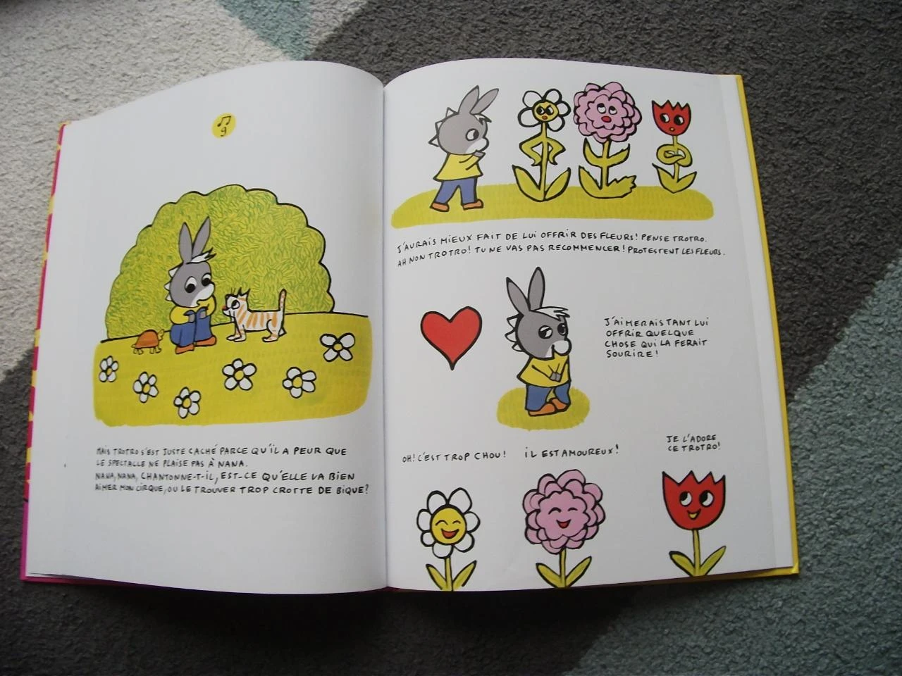 Livro Trotro faz seu circo Galimard Jeunesse – photo 10